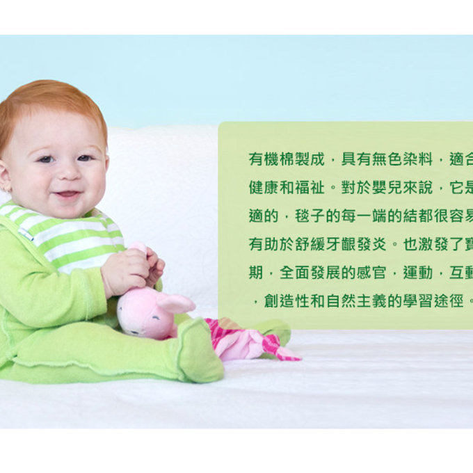 美國 green sprouts 小綠芽寶寶100%有機棉玩偶安撫巾_條紋黃貓頭鷹_GS201040-4