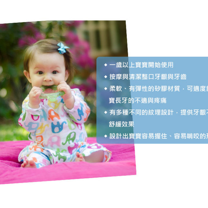 美國 green sprouts 小綠芽  食品安全等級矽膠固齒器/潔牙固齒器單入組_水藍_GS385300