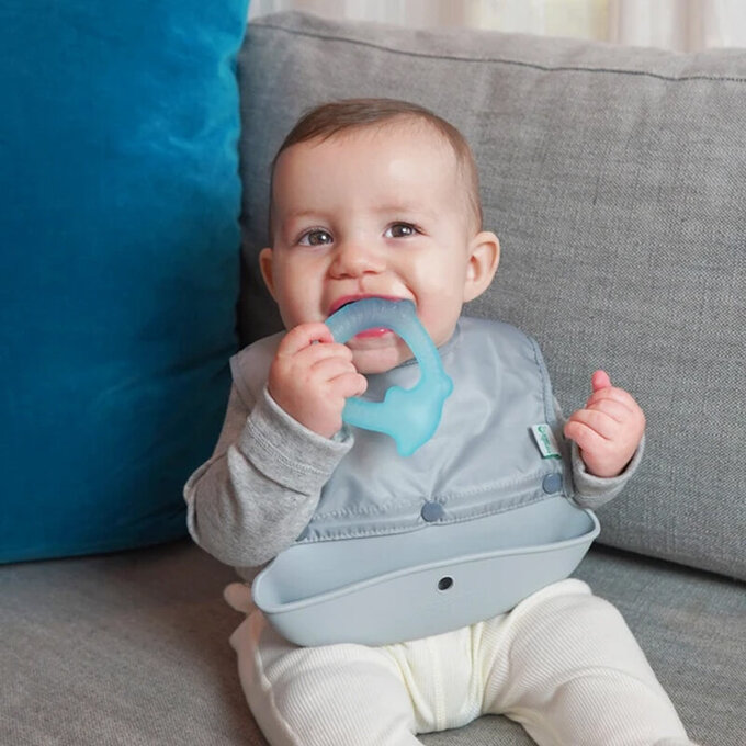 美國 green sprouts 小綠芽冰鎮冷凍型按摩/舒緩疼痛固齒器_動物造型2入組_刺蝟寶寶_GS385345-YA