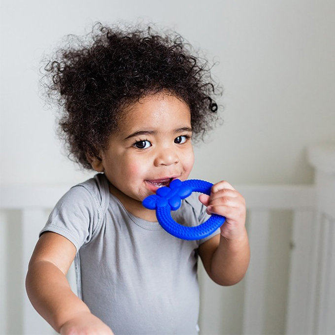 美國 green sprouts 小綠芽 食品安全等級矽膠固齒器_藍漿果_GS385362-1