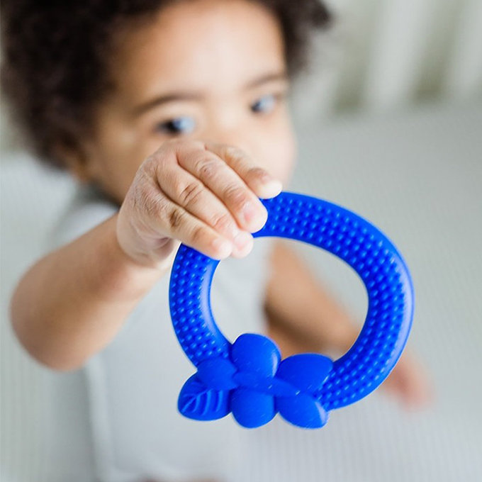 美國 green sprouts 小綠芽 食品安全等級矽膠固齒器_藍漿果_GS385362-1