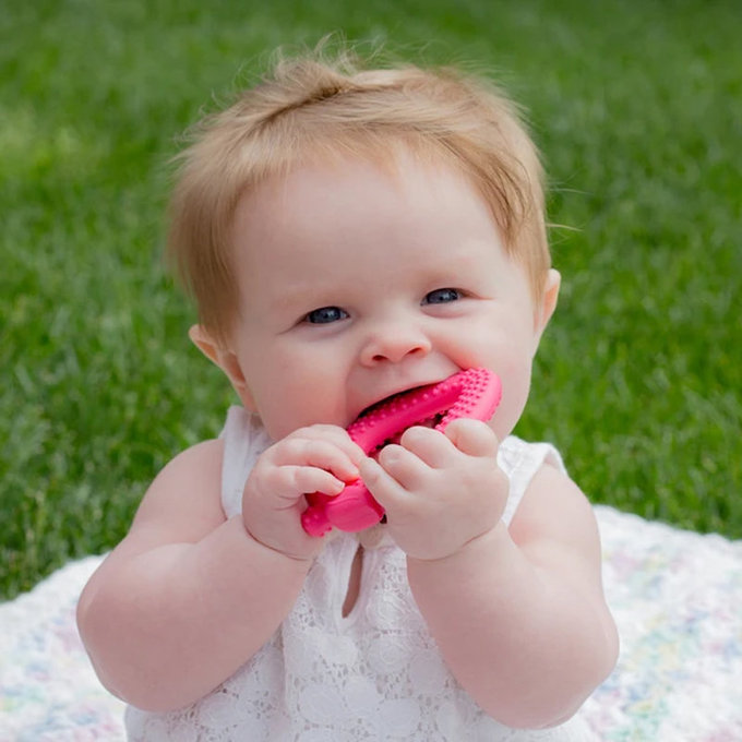 美國 green sprouts 小綠芽 食品安全等級矽膠固齒器_紅草莓_GS385362-2