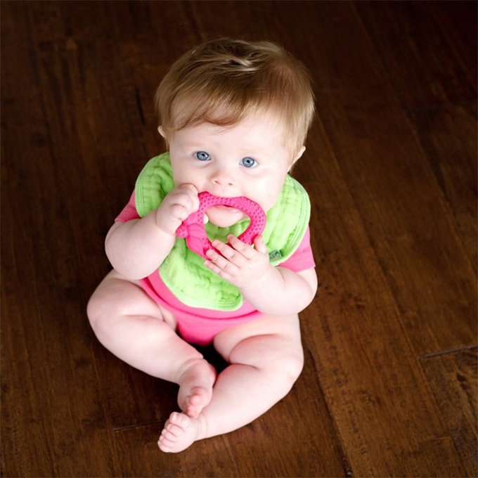 美國 green sprouts 小綠芽 食品安全等級矽膠固齒器_紅草莓_GS385362-2