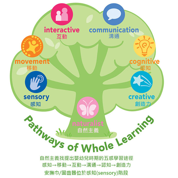 美國 green sprouts 小綠芽 植物性製成安全玩具堆疊杯六入組_圓杯款_GS264301