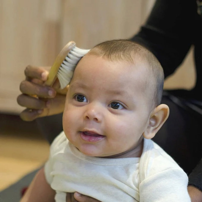 美國 green sprouts 小綠芽寶寶專用梳子_GS301700