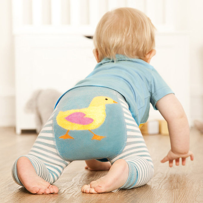 英國 JoJo Maman BeBe 嬰幼兒屁屁圖案內搭褲/保暖襪_黃色小鴨(JJP012)