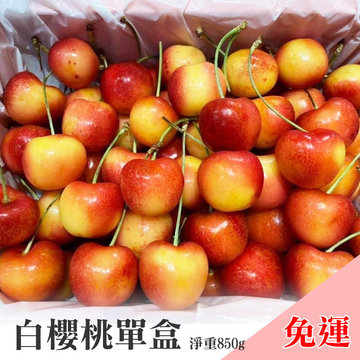 9.5R白櫻桃(單盒)(含箱1公斤/淨重850g)-
