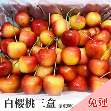 9.5R白櫻桃(三盒)(含箱1公斤/淨重850g)-