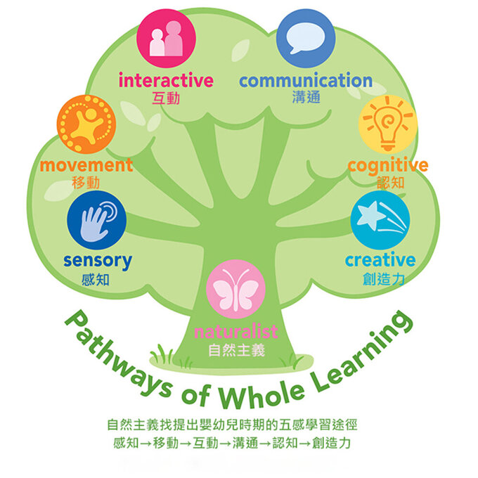 美國 green sprouts 小綠芽植物塑膠製安全無毒玩具浴室/海灘堆疊杯四入組_彩船款_太陽號_GS264304