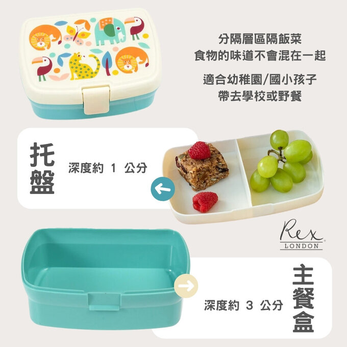 英國 Rex London 卡扣式兩層午餐盒/便當盒/野餐盒_美麗花卉_RL30088