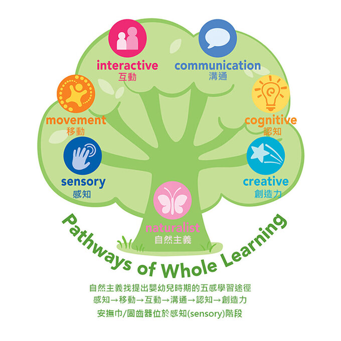 美國 green sprouts 小綠芽冰鎮冷凍型按摩/舒緩疼痛固齒器_透明手鍊造型_2入組_GS222341-1