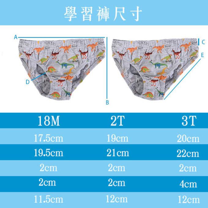 美國 luvable friends 甜蜜寶貝  幼兒/兒童棉質5入彈性內褲組 _貝類世界(LF25567)